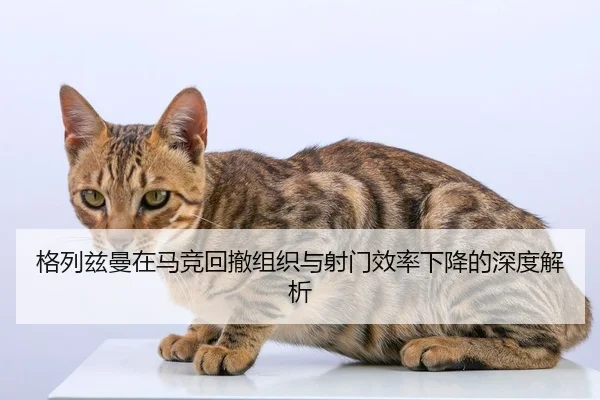 ge-lie-zi-man-zai-ma-jing-hui-che-zu-zhi-yu-she-men-xiao-lv-xia-jiang-de-shen-du-jie-xi-2-184.jpg