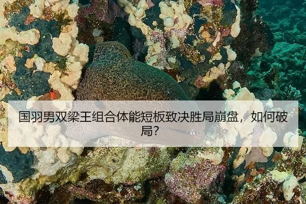guo-yu-nan-shuang-liang-wang-zu-he-ti-neng-duan-ban-zhi-jue-sheng-ju-beng-pan-ru-he-po-ju-3-947.jpg