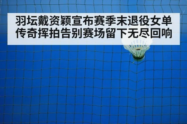 badminton court net